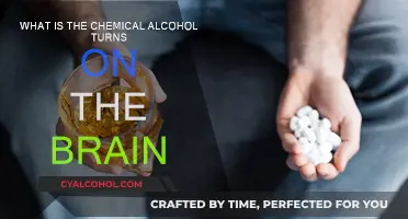Brain Chemistry: Alcohol's Effect and Influence