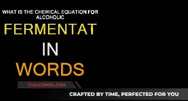 Chemical Equation for Alcoholic Fermentation Explained