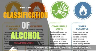 Understanding Alcohol Classification: Types, Categories, and Key Distinctions