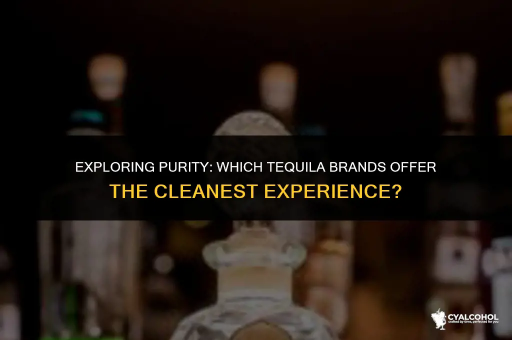 what is the cleanest alcohol tequila