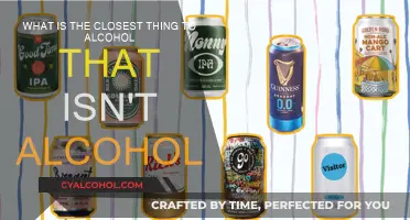 Mocktail Magic: Alcohol-Free Alternatives for the Sober-Curious