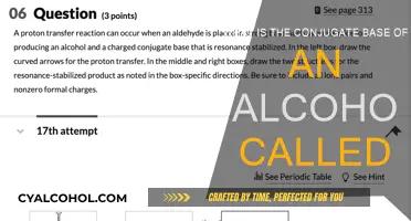 Understanding Alcohol Conjugate Bases: What Are They Called?