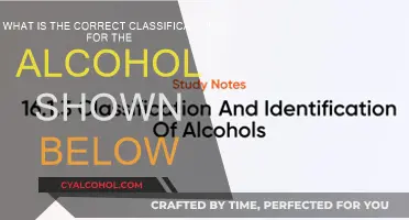Understanding Alcohol: Classification and Categorization