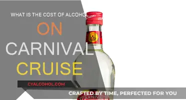 Carnival Cruise Alcohol Costs: How Much Does It Really Add Up?