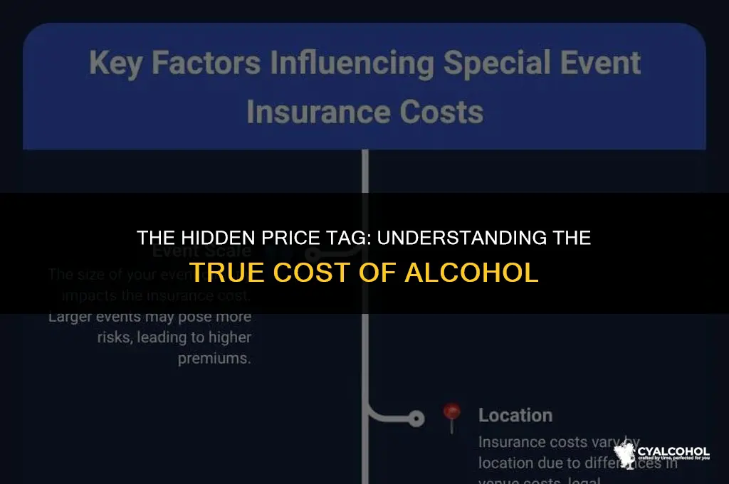 what is the cost of alcohol