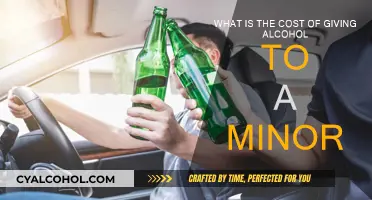 Underage Drinking: Legal Consequences and Social Impact