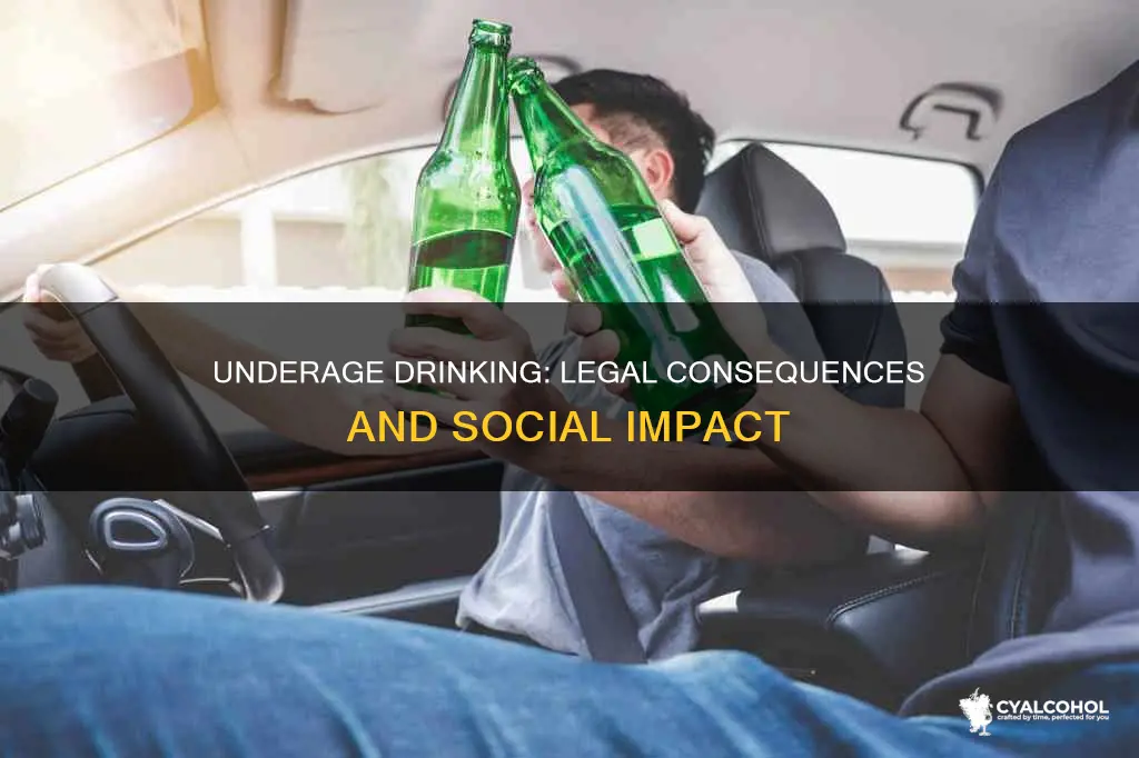 what is the cost of giving alcohol to a minor