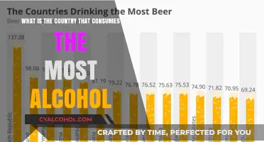 Alcohol Consumption: Which Country Leads the World?