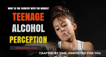 Alcohol Awareness: Which Country Has the Highest Teen Perception?