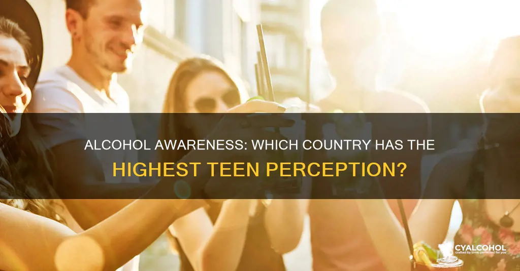 what is the country with the highest teenage alcohol perception
