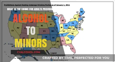 Underage Drinking: Who's Responsible?