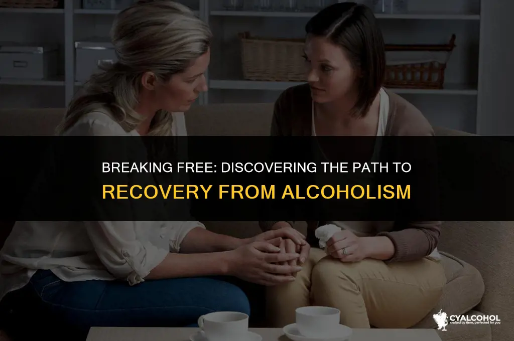 what is the cure for alcoholism
