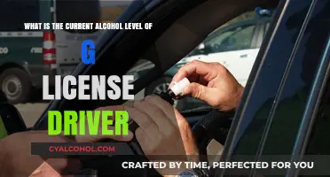 G-License Holders: Alcohol Limit Rules