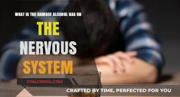 Alcohol's Harmful Impact on the Nervous System
