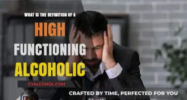 High-Functioning Alcoholics: Signs, Symptoms, and Definition