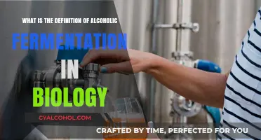 Alcoholic Fermentation: Biology's Magic Brew