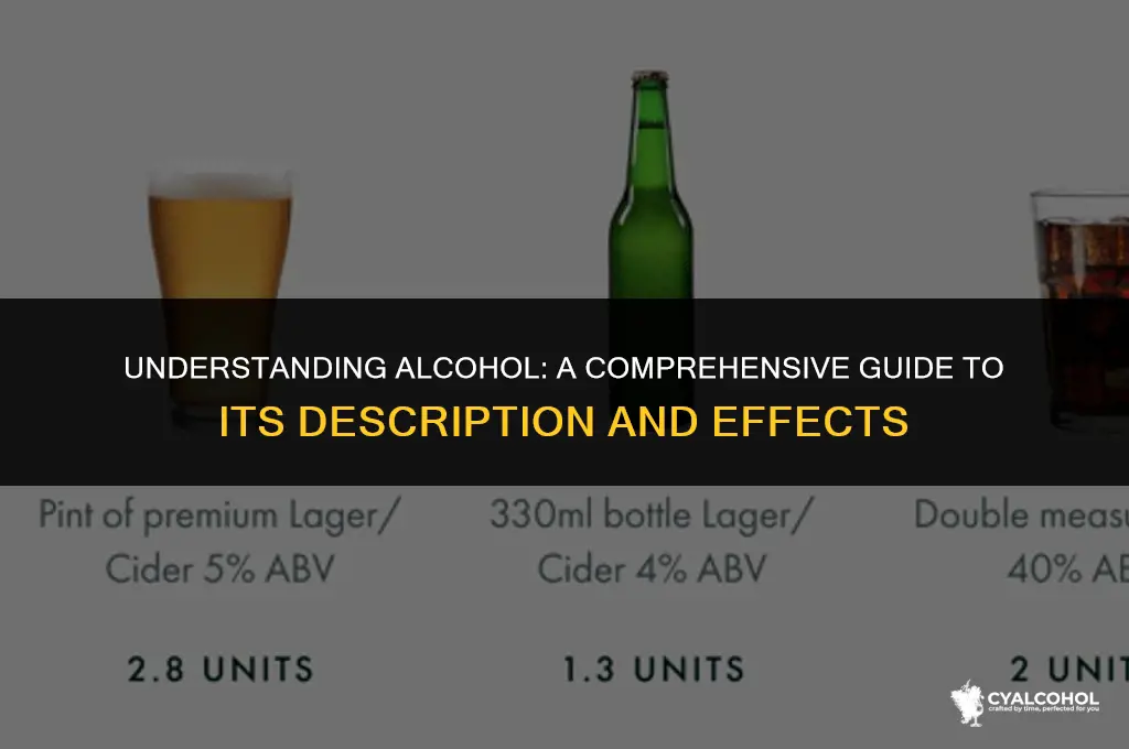 what is the description of alcohol