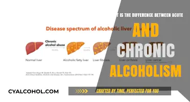Acute vs Chronic Alcoholism: Understanding the Key Differences