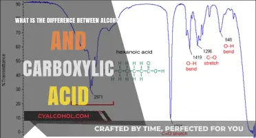 Alcohol vs Carboxylic Acid: What's the Difference?
