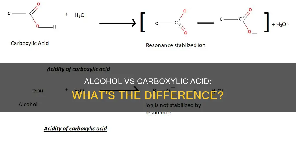 what is the difference between alcohol and carboxylic acid