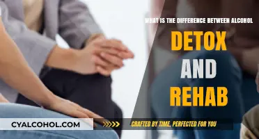 Alcohol Detox vs. Rehab: Understanding the Key Differences