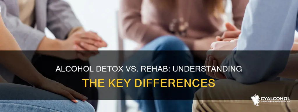 what is the difference between alcohol detox and rehab
