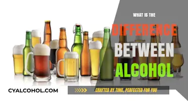 Exploring the Nuances: Types of Alcohol and Their Distinctions