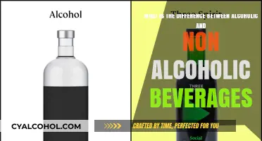 Alcoholic vs Non-Alcoholic: What Sets Them Apart?