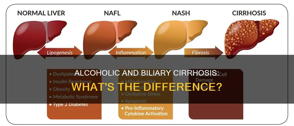 what is the difference between alcoholic cirrhosis and biliary cirrhosis