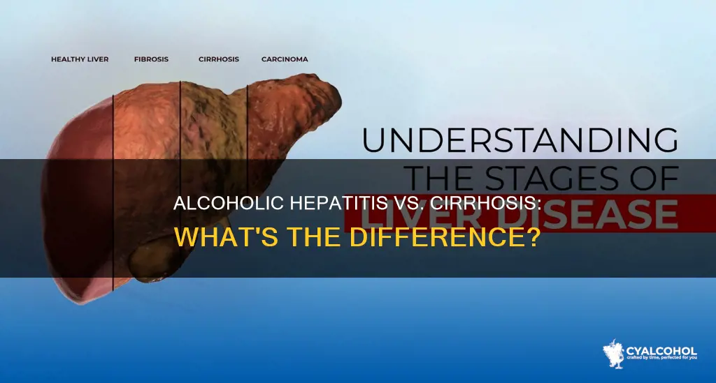 what is the difference between alcoholic hepatitis and alcoholic cirrhosis