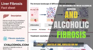 Alcoholic Hepatitis vs Fibrosis: What's the Difference?