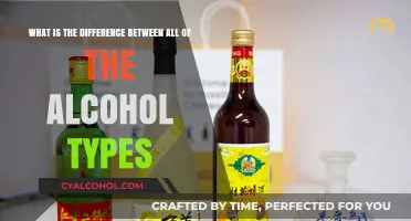 Explore Alcohol Types: Their Unique Differences