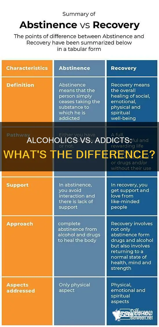 what is the difference between an alcoholic and an addict
