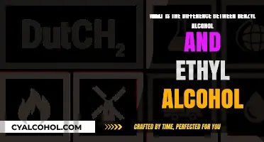Benzyl vs Ethyl Alcohol: What's the Difference?