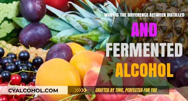 The Art of Distilled and Fermented Alcohol Explained