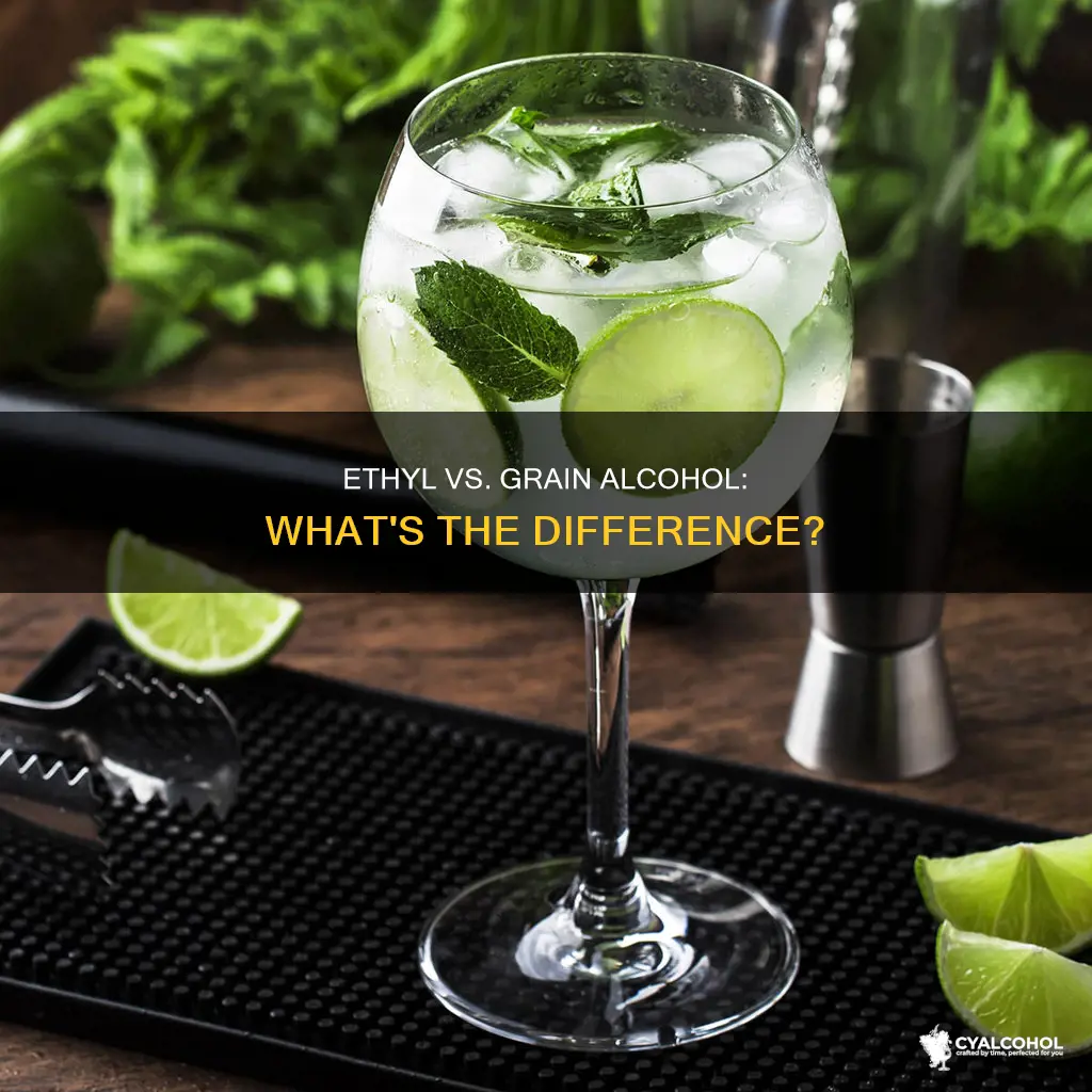 what is the difference between ethyl alcohol and grain alcohol