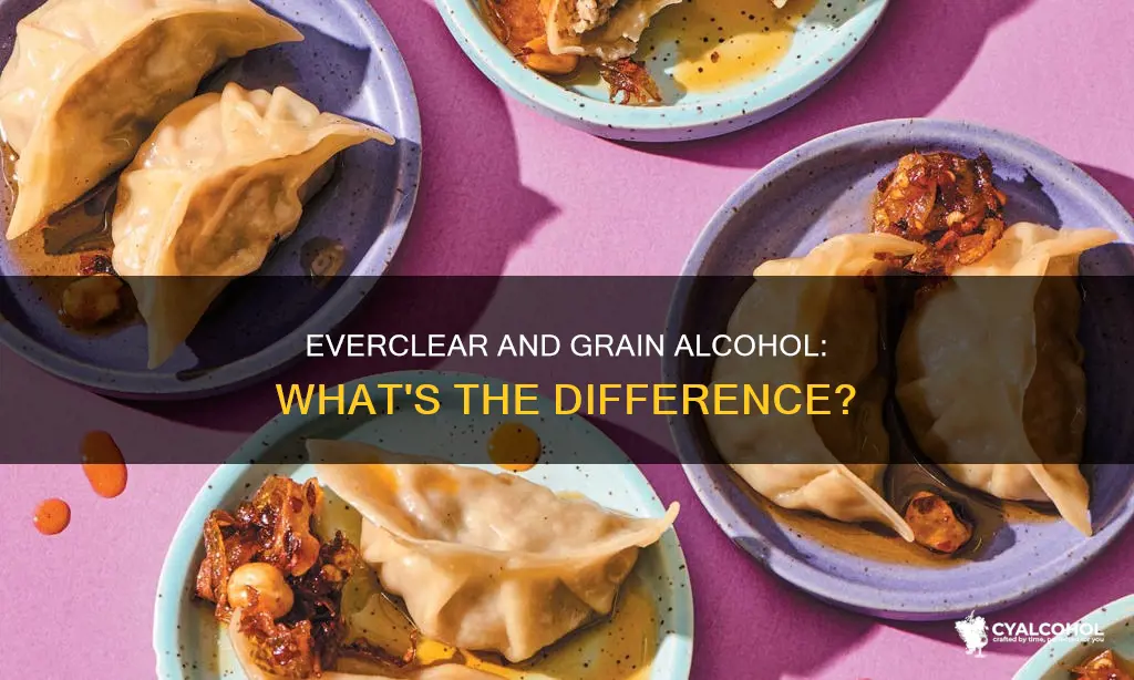 what is the difference between everclear and grain alcohol