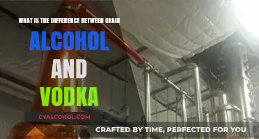 Grain Alcohol vs Vodka: What's the Difference?