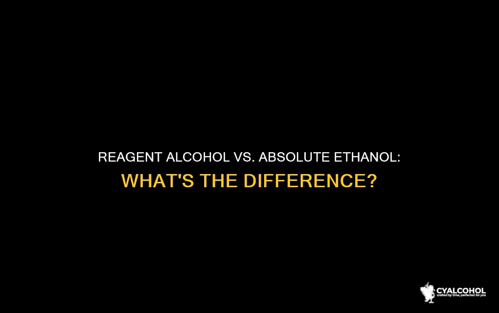 what is the difference between reagent alcohol and absolute ethanol