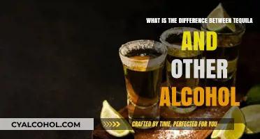 Tequila's Unique Qualities: What Sets It Apart?