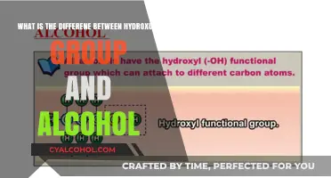 Hydroxyl Group vs Alcohol: What's the Difference?