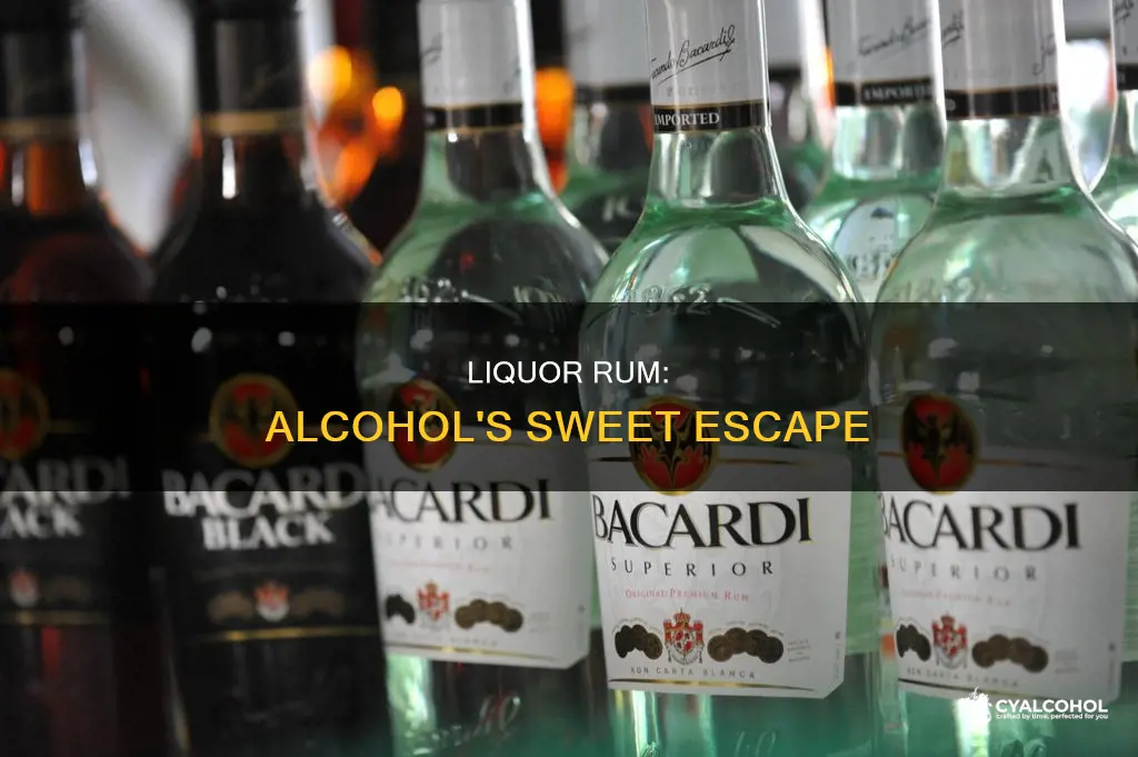 what is the different between liquor rum and alcohol