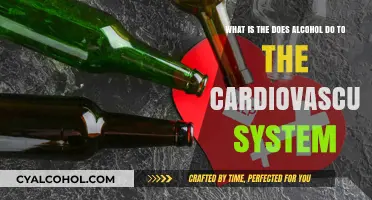 Alcohol's Impact on Cardiovascular Health