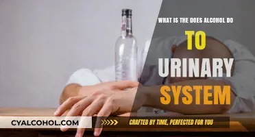 Alcohol's Impact on the Urinary System