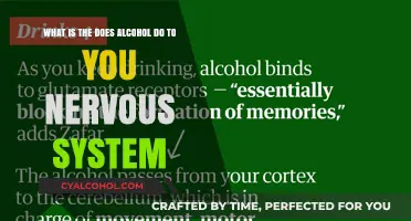 Alcohol's Impact on Your Nervous System