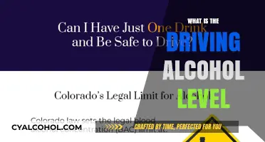 Understanding Legal Limits: A Guide to Driving Alcohol Levels
