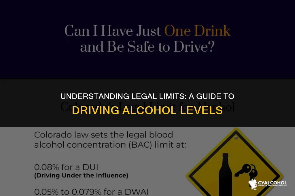 what is the driving alcohol level