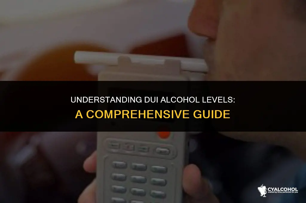 what is the dui alcohol level