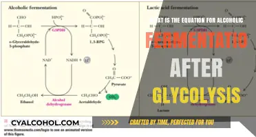 Exploring Alcoholic Fermentation: The Equation Beyond Glycolysis