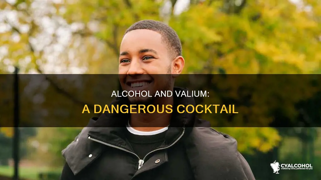 what is the essence of alcohol to valium substance